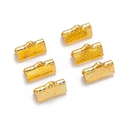 Iron Ribbon Crimp Ends E005Y-G-1