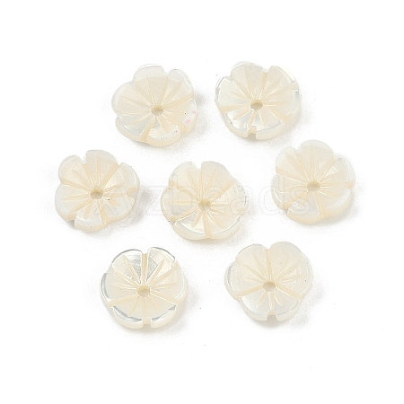 Natural Trochus Shell Flower Charms SHEL-K006-46A-1