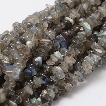 Natural Labradorite Chip Bead Strands G-M298-06-1