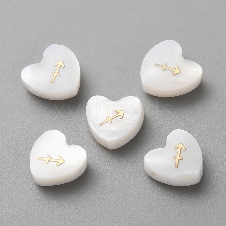 5Pcs Natural White Shell Beads BSHE-TAC0004-02K-1