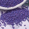 MIYUKI Delica Beads SEED-J020-DB0880-1