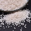 MIYUKI Delica Beads SEED-JP0008-DB1490-1