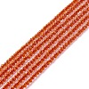 Transparent Glass Beads Strands GLAA-C019-01A-13-1