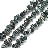 Natural South Africa Jasper Beads Strands G-P497-03A-03-1