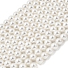 Electroplated Shell Pearl Beads Strands BSHE-K017-8mm-1