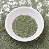 MIYUKI Delica Beads SEED-J020-DB0263-2