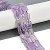 Natural Amethyst Beads Strands G-G162-D04-01-2