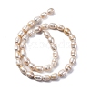 Natural Cultured Freshwater Pearl Beads Strands PEAR-XCP0001-07-3