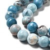 Natural Gemstone Beads Strands G-F730-02C-4