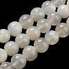 Natural White Moonstone Beads Strands X-G-F306-05AB-6mm-01-2