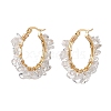 Natural Quartz Crystal Hoop Earring EJEW-JE05709-03-1