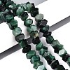 Natural Fuchsite Beads Strands G-N327-05-30-1