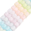 Macaron Color Natural Selenite Beads Strands G-F750-D01-1