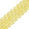 Transparent Glass Beads Strands GLAA-N071-01A-A02-1