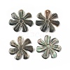 Natural Black Lip Shell Pendants SSHEL-T012-10-1