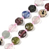 Natural Mixed Gemstone Beads Strands G-C116-A20-01-2