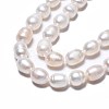 Natural Cultured Freshwater Pearl Beads Strands X-PEAR-N012-07B-4