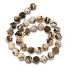 Natural Zebra Jasper Beads Strands G-I376-A33-01-2