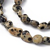 Natural Dalmatian Jasper Beads Strands G-B039-03B-3