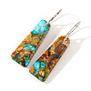 Natural Imperial Jasper Trapezoid Dangle Earrings EG8085-3-1