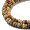 Natural Crazy Lace Agate Beads Strands X-G-K343-C04-02-4