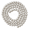 Shell Pearl Beads Strands BSHE-TA0002-03A-4mm-1