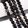 Natural Biotite Beads Strands G-Q616-01C-1