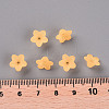 Transparent Acrylic Beads LS-X-PL554-07-5