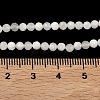 Natural Rainbow Moonstone Beads Strands G-B168-A11-3mm-5