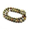 Natural Rhyolite Jasper Bead Strands G-G684-01-6mm-2