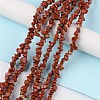 Natural Red Jasper Beads Strands G-G0003-B09-2