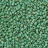 MIYUKI Delica Beads SEED-MY11-DB0877-3