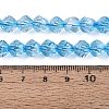 Crackle Transparent Glass Beads Strands GLAA-N068-02A-03-5