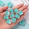 Transparent Enamel Acrylic Beads TACR-S155-004G-5