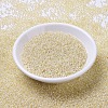 MIYUKI Round Rocailles Beads SEED-G007-RR0577-2
