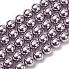 Electroplated Shell Pearl Beads Strands BSHE-G041-10mm-02-1