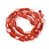 Natural White Shell Beads Strands SHEL-N036-21F-2