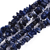 Natural Sodalite Beads Strands G-S364-080-1