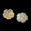 Dyed & Heated Gradient Color Glass Bead Cap GLAA-D307-01J-2