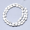 Natural Howlite Beads Strands X-G-S357-B13-2