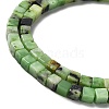 Natural Serpentine Beads Strands G-L585-C01-01-4