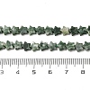 Natural Green Spot Jasper Beads Strands G-H087-C01-01-5