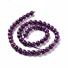 Natural Lepidolite/Purple Mica Stone Beads Strands G-E184-15A-2