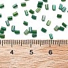 Two Cut Glass Seed Beads CSDB167B-3