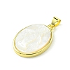 Rack Plating Brass Pave Natural Shell Pendants KK-A204-01C-02G-2