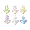 6Pcs Acrylic Beads Pendants PALLOY-JF03023-1