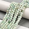 Natural Green Opal Beads Strands G-Z035-A02-03C-2