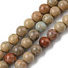 Natural Aqua Terra Jasper Beads Strands G-E444-14B-8mm-1