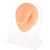 Soft Silicone Tongue Flexible Model Body Part Displays with Acrylic Stands ODIS-WH0002-23-1