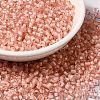 8/0 Transparent Glass Seed Beads SEED-F003-03B-15-1